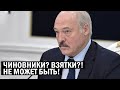 СРОЧНО! Лицемерное заявление Лукашенко ВЗБЕСИЛО Беларусь - Признание Бацьки о КОРРУПЦИИ! - новости