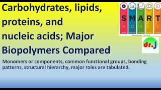 Carbohydrates, lipids, proteins, and nucleic acids; Major Biopolymer structure and function compared