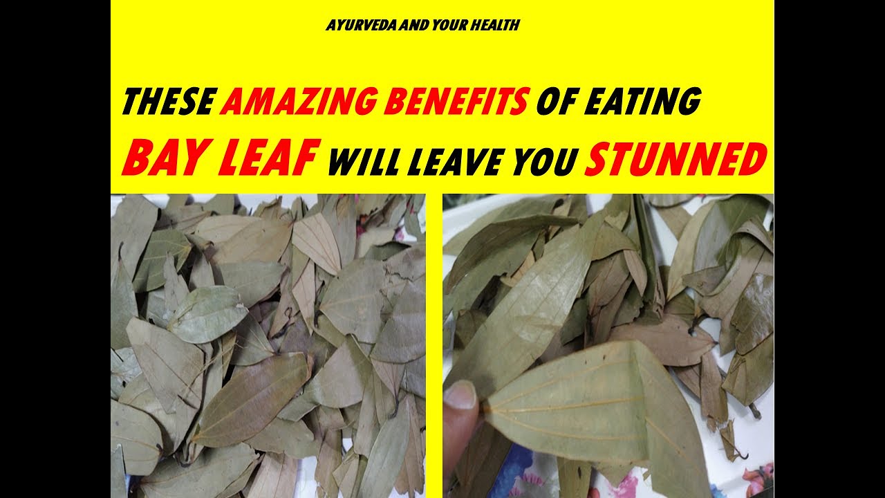 THESE AMAZING BENEFITS OF EATING BAY LEAF WILL LEAVE YOU STUNNED YouTube