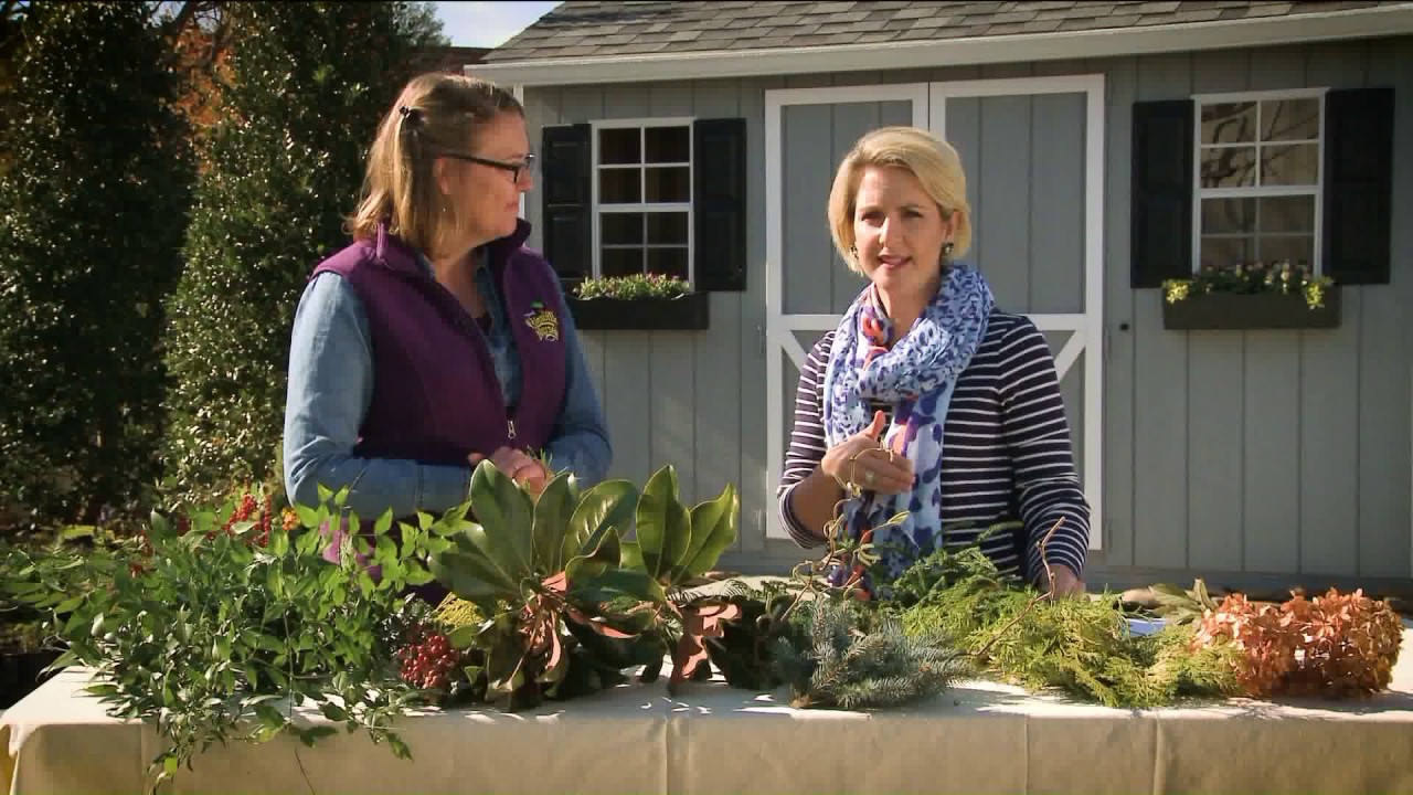 Colesville Nursery Winter flower tips YouTube