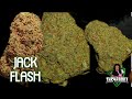 Jack flash  good day  arkansas medical marijuana review the420guy