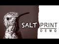 What is salt printing a demonstration of 19th century photography modernized