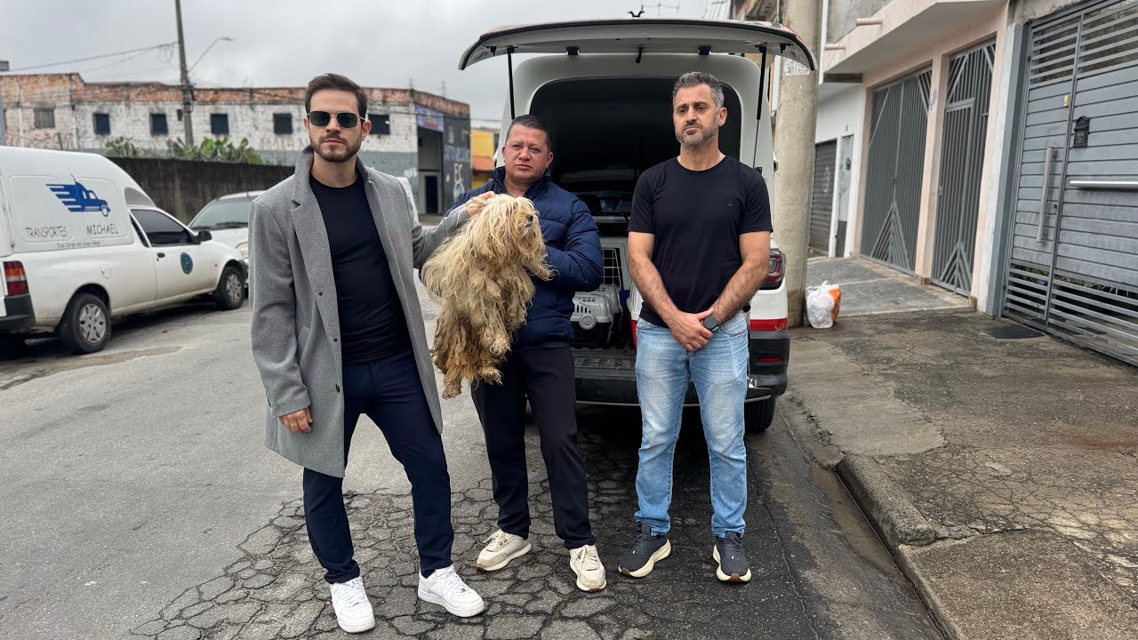 Disseram que ela mordia… mas olha o que descobrimos 😳