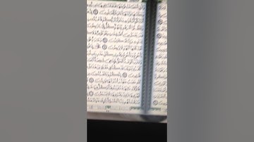 سورة الأنبياء من الآية 97 إلى 104 بصوت القارئ مرعي علي خدي