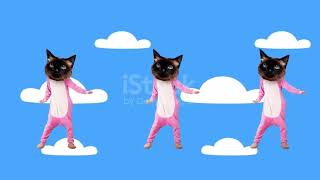 Download Lagu Meni ingin di manja (official video) MP3 Download Lagu Meni ingin di manja (official video) MP3