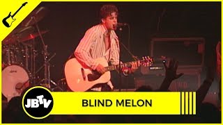 Blind Melon - Soup | Live @ Metro