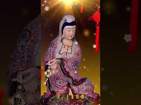 南無觀世音菩薩 新年系列 南無阿彌陀佛🙏