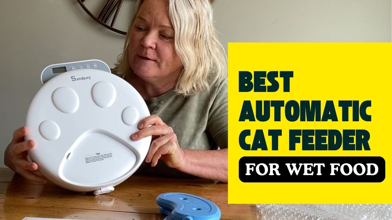 Top Pet Expert Reveals BEST Automatic CAT Feeder for Wet Food