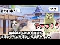 【フグの猛毒】食に命を賭けすぎる日本人が面白すぎた#猫マニ #猫ミーム