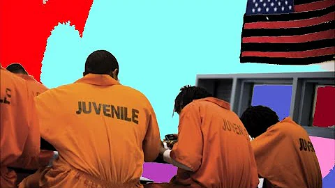 From Disenfranchised to Institutionalize...  - Jas...