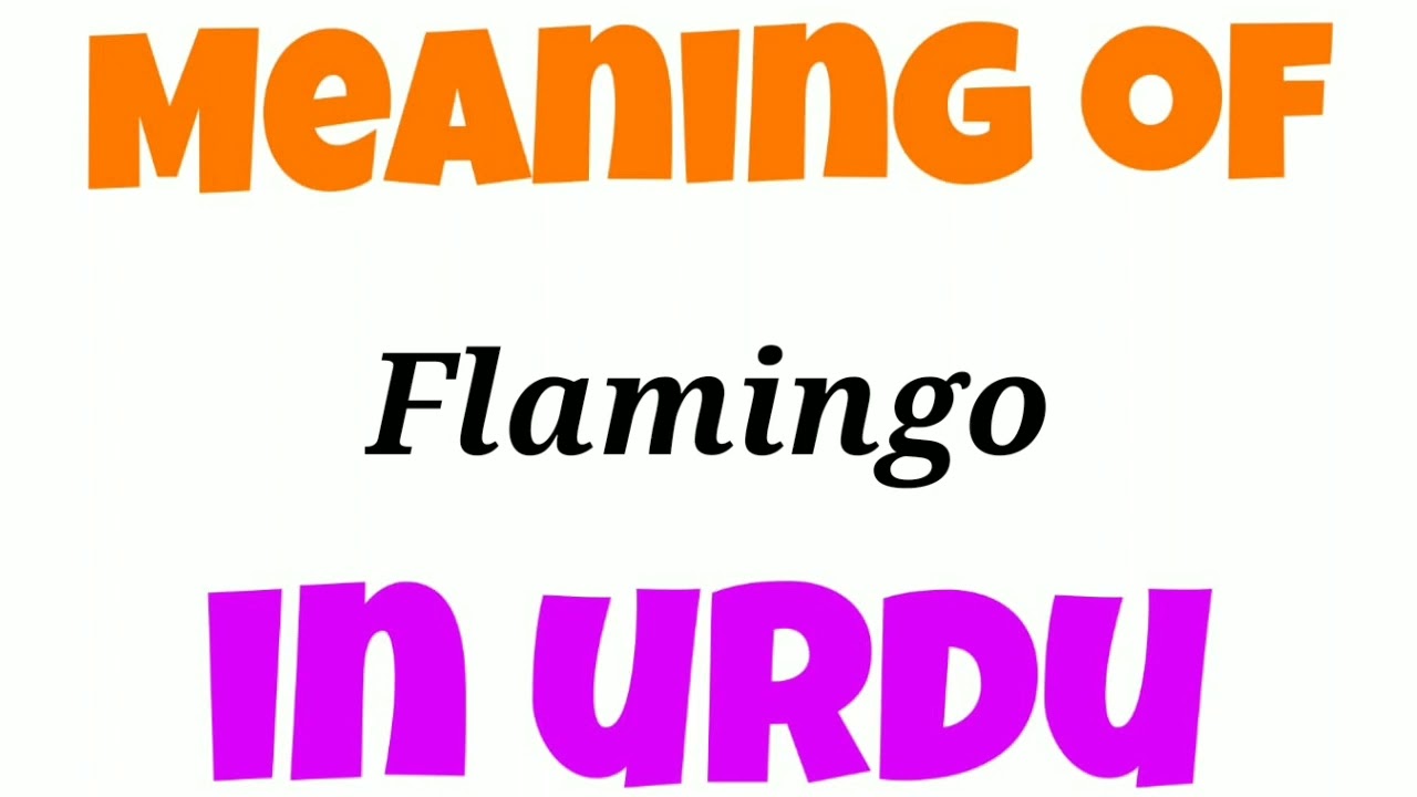Flamingo ko urdu mein kya kahate hai | Flamingo ko urdu mein kya bolate hai | Flamingo meaning in ur