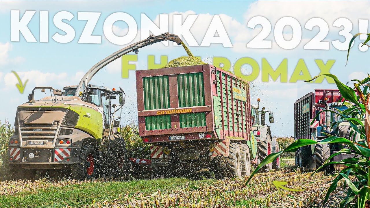 Dziki w kukurydzy🤔✓Kukurydza 2023✓F.H.U Romax✓Claas jaguar 970✓2xFendt 939 vario✓2xStrautmann
