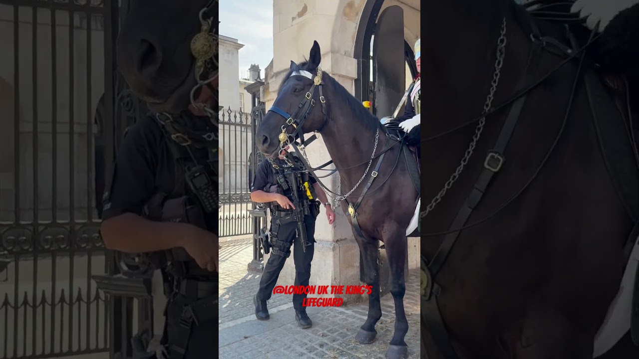 Police officer cheating the King’s Horse Guard highlight 