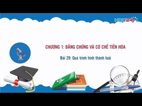 Video [Sinh học 12] Bài 29: Quá trình hình thành loài - youtube