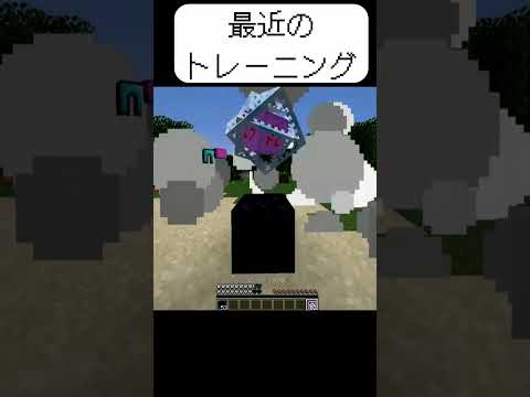最近毎日やってるトレーニング方法  #マイクラ #神業