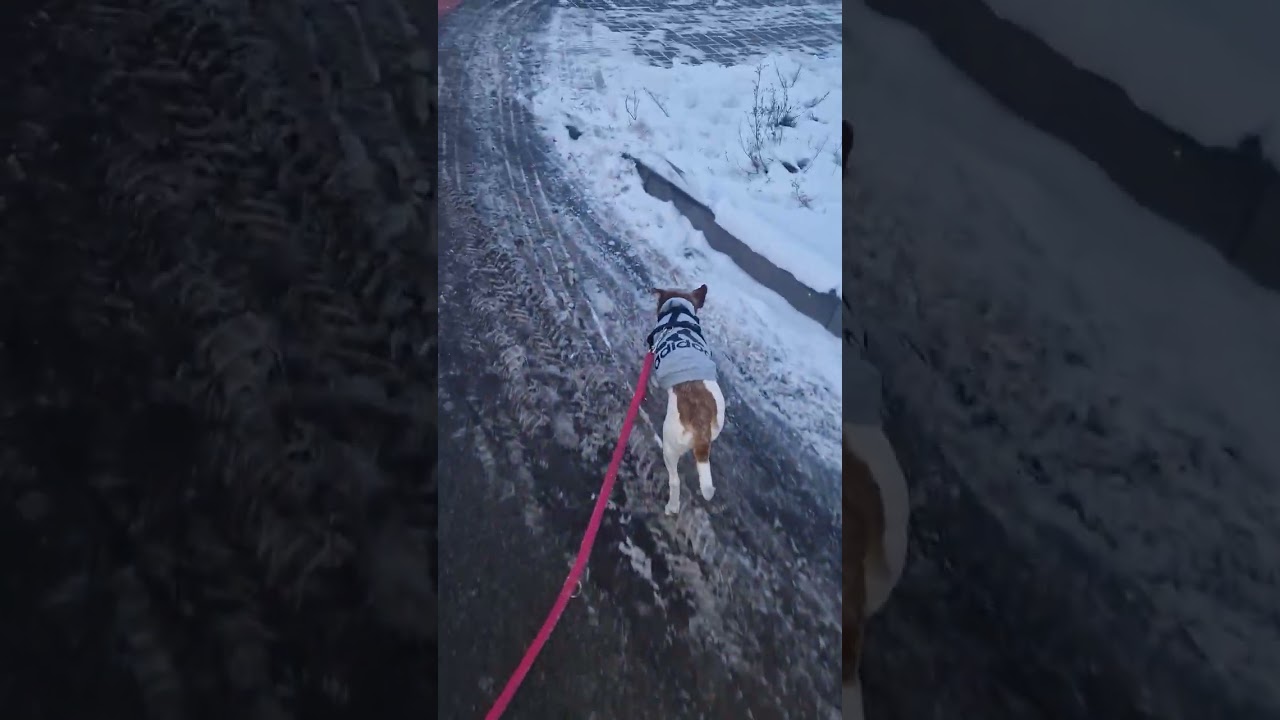 Kleine Draußen Tour!