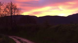 IMG 7318