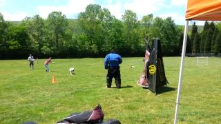 Caddy PSA PDC Attack on handler
