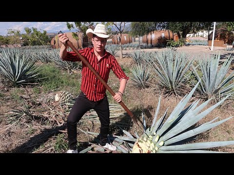 Kaydy Cain - Duro