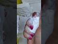 #asmr #satisfying #crunchoddlysatisfyinggymchalk #asmrsounds #oddlysatisfying #asmrtriggers #chalk