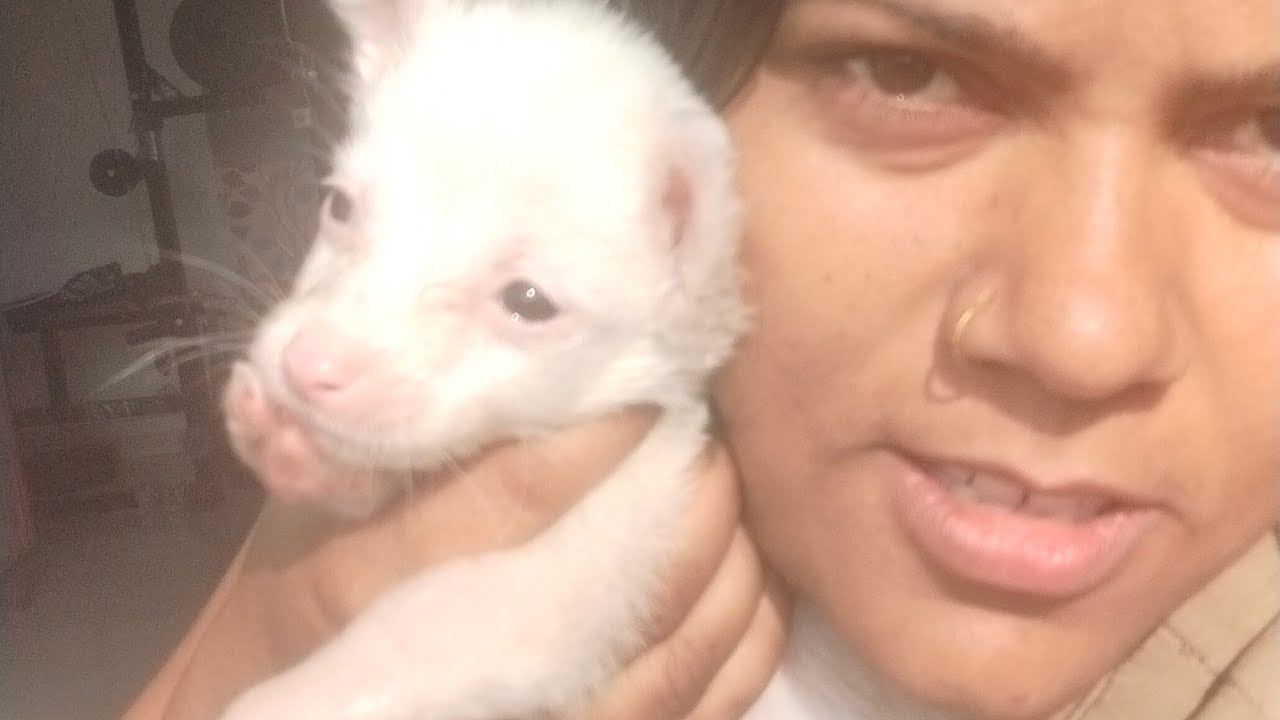 Sunita kitchen garden nursery Life