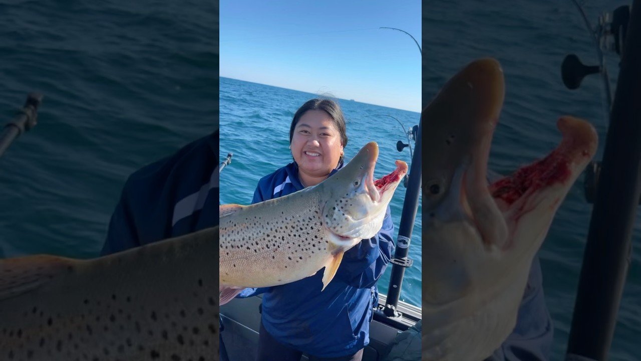 World record Brown Trout are here in Milwaukee, Wisconsin! 