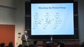 ⁣30. Esomeprazole as an Example of Drug Testing and Usage