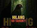 BURUNG LANGKA INI HILANG 50 TAHUN?! #shorts #burunglangka #newbritaingoshawk #elangpapuanugini