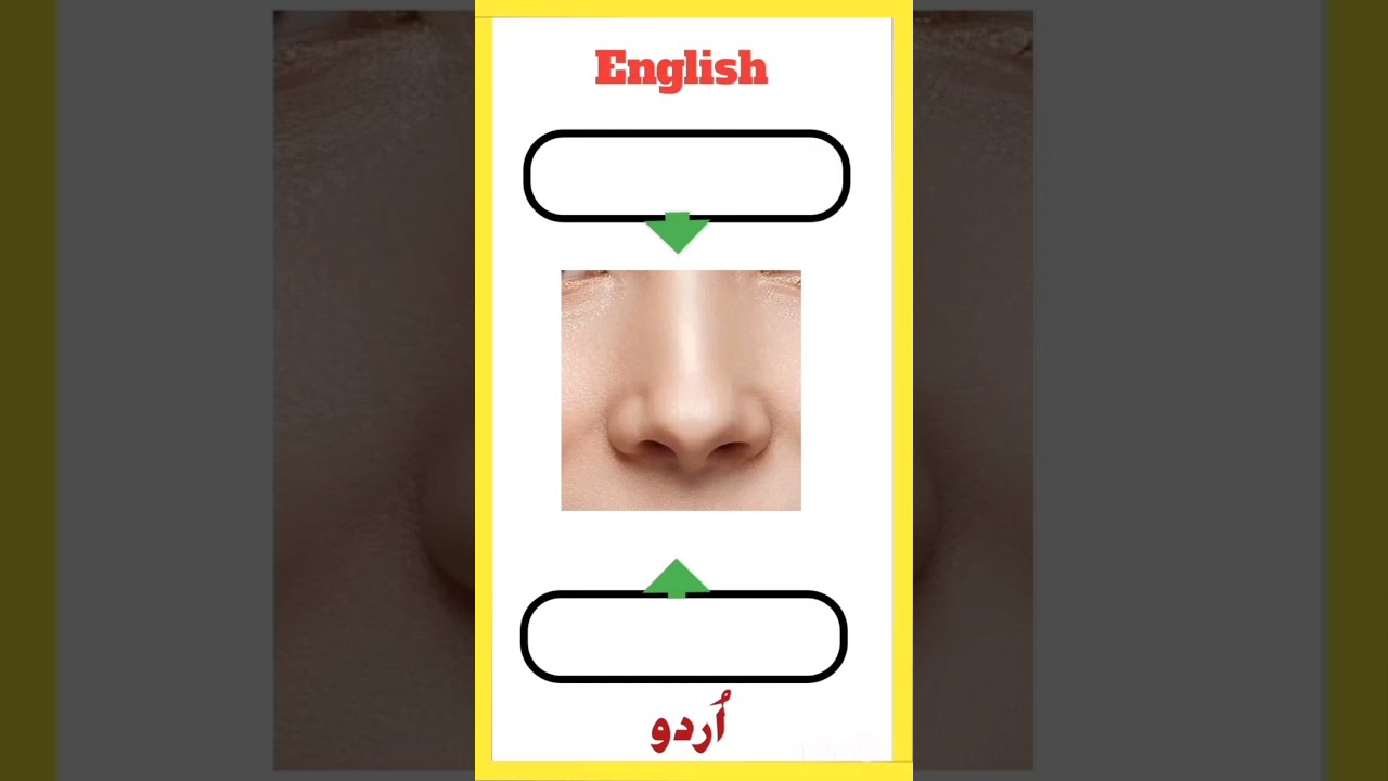 nose name in English urdu shorts YouTube