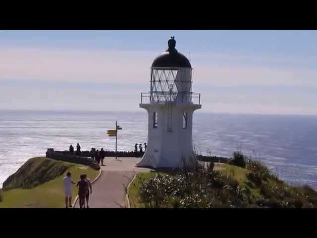 Cape Reinga/90 Mile beach Sight See New Zealand's Far North