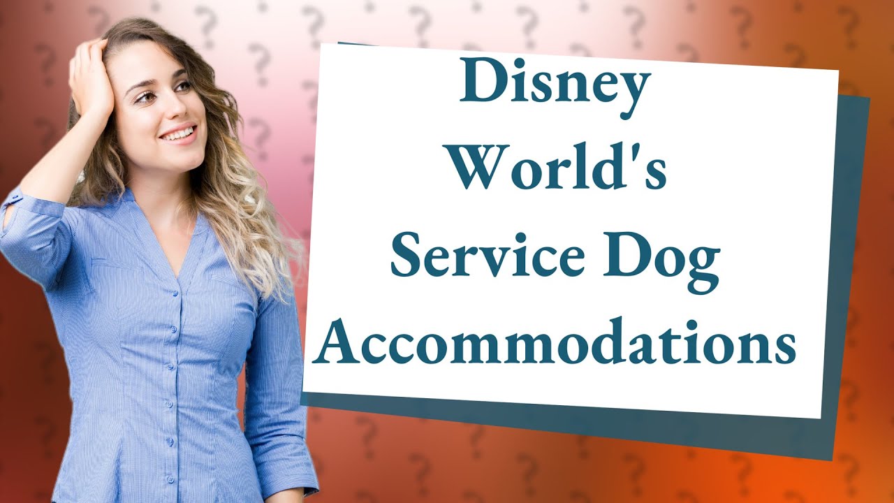 How Does Disney World Service Dogs? YouTube