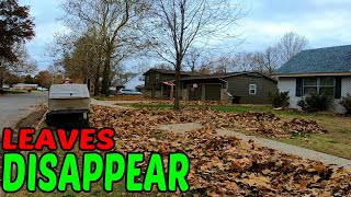 Fall Leaf Cleanup, RELAXING CHRISTMAS Edition, For Husband & Wife