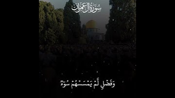 الذين قال لهم الناس إن الناس قد جمعوا لكم فاخشوهم - سورة آل عمران | القارئ الشيخ محمد أيوب رحمه الله