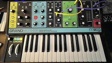 Da Funk by Daft Punk - bass patch using a Moog Grandmother