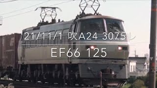 '21/11/1 吹田A24 3075レ EF66 125