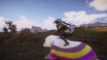 Checking New Items & Changes In Assassin