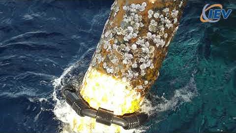 MGP by IEV -"Ocean-Powered" Marine Growth Control Preventers