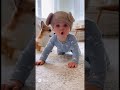 Cute baby imitating a dog
