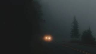 The Rashomon Effect - Emergence