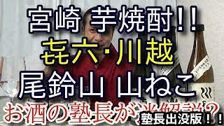 【宮崎 芋焼酎 3銘柄！！】【㐂六・尾鈴山 山ねこ・川越】お酒　実況　特別版　宮崎 芋焼酎 3銘柄！！