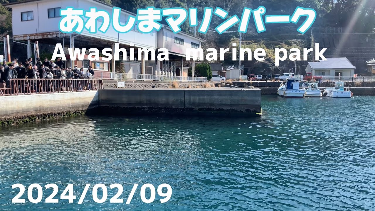 あわしまマリンパーク/Awashima marine park (2024/02/09)