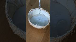 tender coconut juice #ytshorts #shorts #coconutjuice #tendercoconut #cooking #tendercoconutjuice
