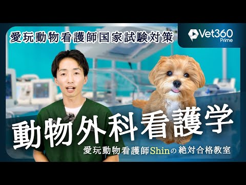 ペット看護士。 ペット専門国家資格「愛玩動物看護師」が4月に誕生へ…獣医療