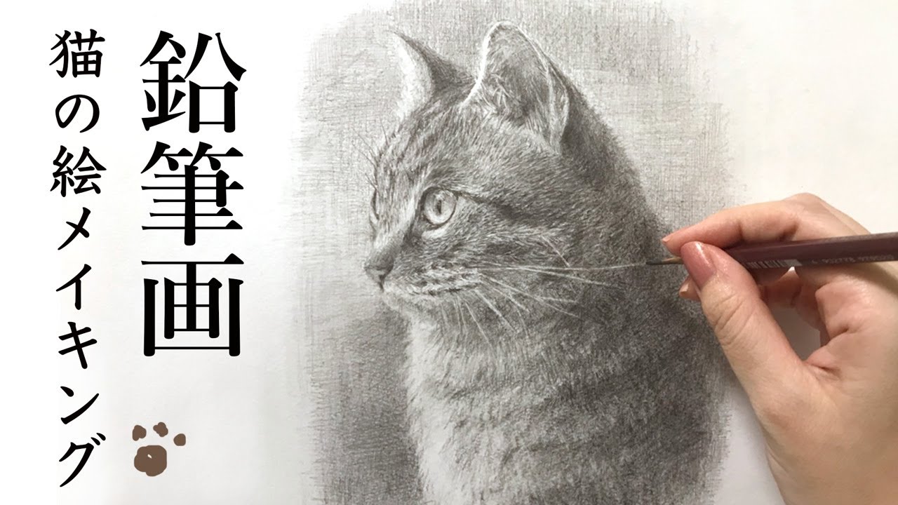 鉛筆画 猫の絵を描いてみた Pencil Drawing Youtube