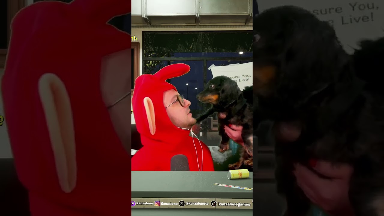 Bella Is A Spider For Halloweenie