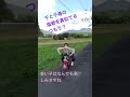 可愛い女子の💕?の千と千尋の塩爺ではなく釜爺になりきり追いかけ版 蒜山高原レンタサイクル
