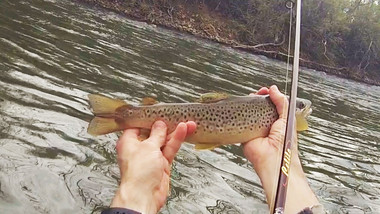 Trout Fishing Opening Day Success YouTube