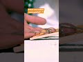 Mousetraps in slow motion 🪤