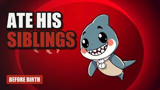 You Were Born a Sand Tiger Shark. You Ate Your Siblings.