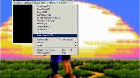 How to Play, Record, and Convert Nintendo Game Play on the Computer (VirtuaNES)